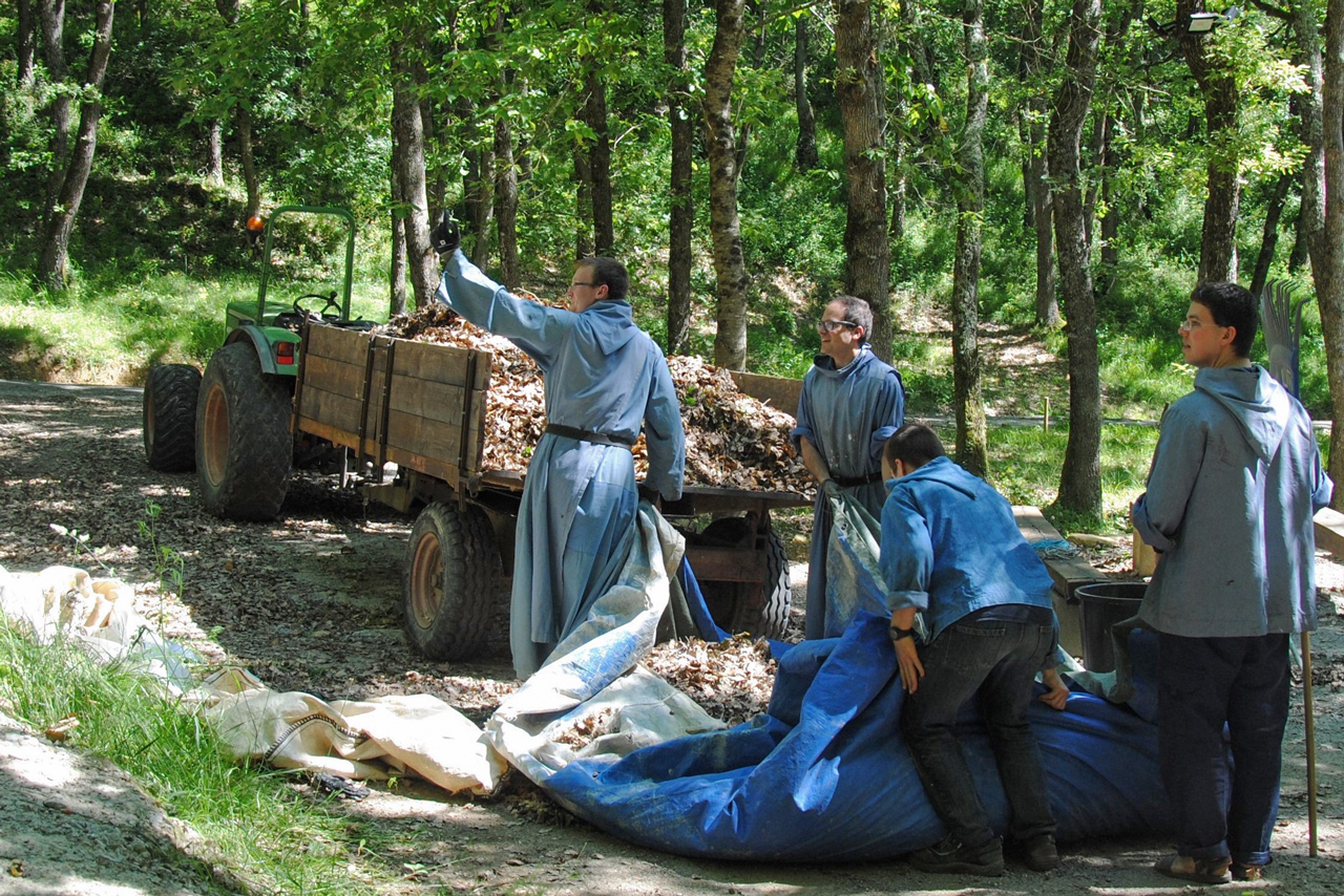 The little brothers of the LambMissionaries of the Holy Face and